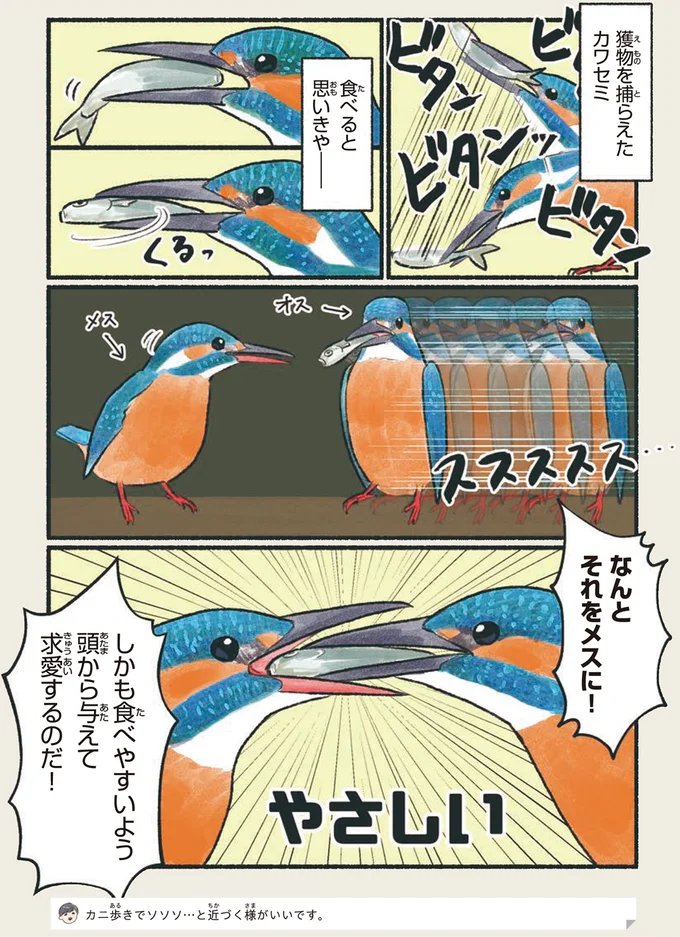 『意外と知らない鳥の生活 1〜2』 213.webp