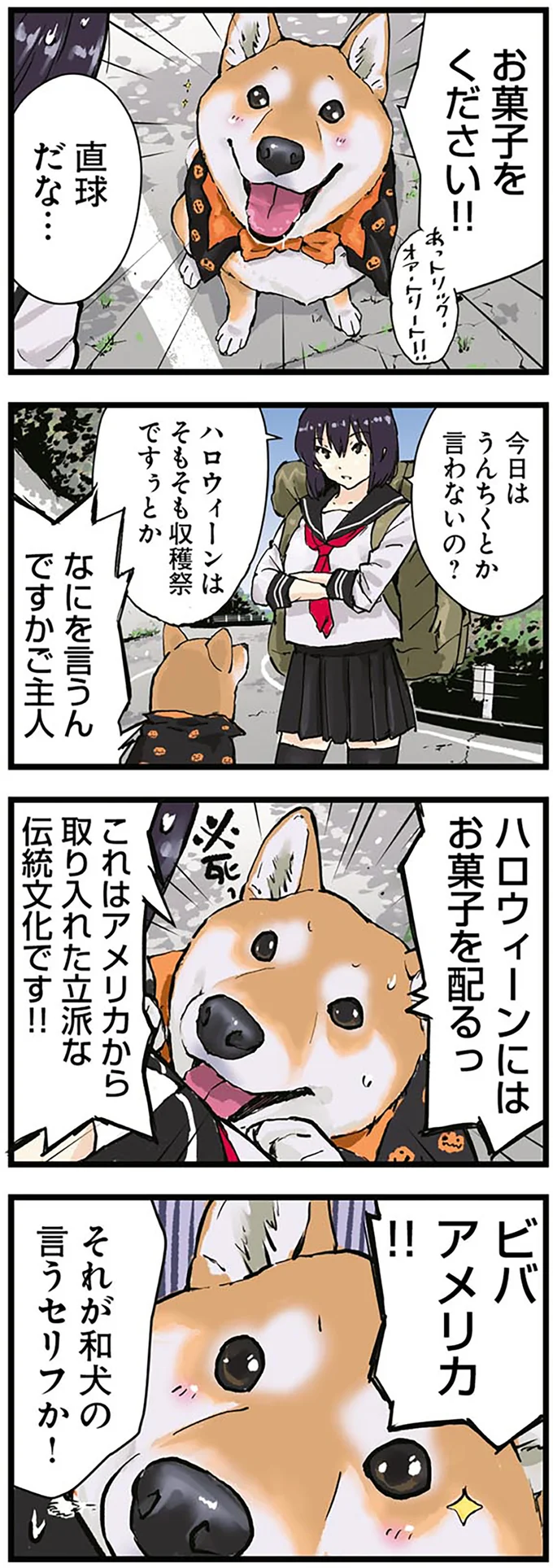 ハロウィーンに大興奮の柴犬。その理由が...和犬なのに？／世界の終わりに柴犬と 1.png