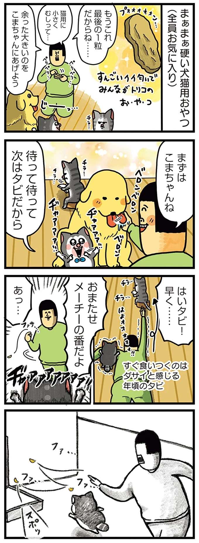 「奴は完全に忘れた」はずが...猫のおやつへの執着が凄すぎて、うっ／まめきちまめこニートの日常 こまちとタビ5 mame8_1.jpeg