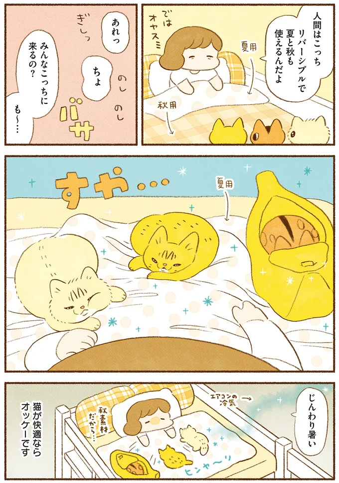 『しまねこ3姉妹と暮らしています　深まるきずな編』 13539115.webp