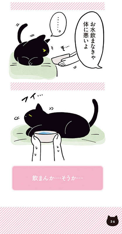 「水は飲みたいが眠い」猫。飼い主がちょっと協力した結果...／黒猫ろんと暮らしたら2 11.jpg