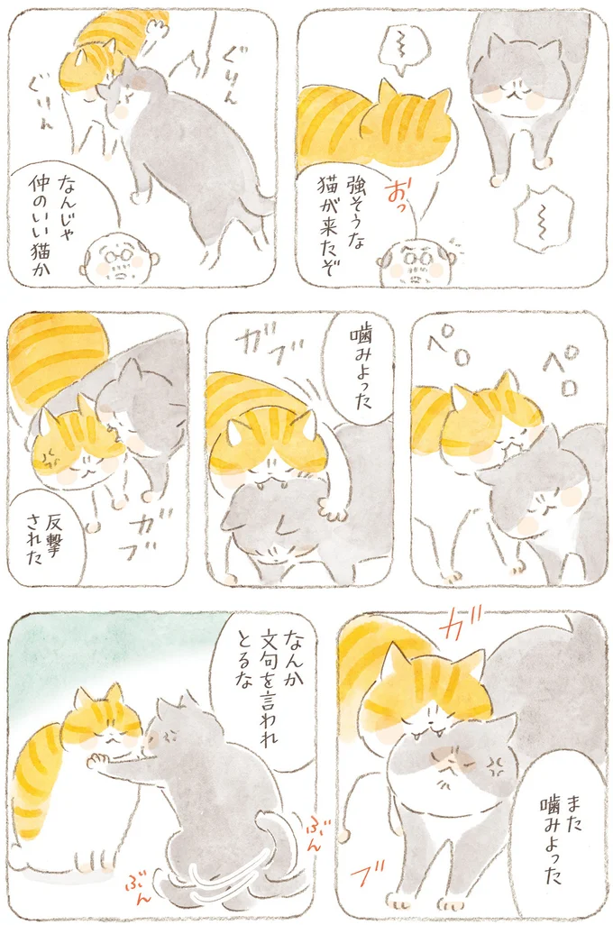 『ねことじいちゃん11』 25.png