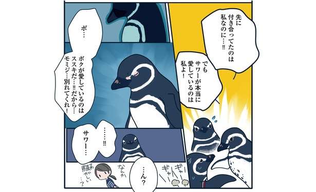 飼育員は見た!! 「帰宅すると目の前で...」恋の修羅場か!? ペンギンたちの愛の記録マンガ 36流血！すみだ水族館で恋の修羅場「下町ペンギン物語」第三話10.jpg