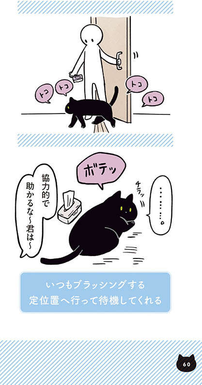 ブラッシングが好きな愛猫。でも、仕上げの「これ」だけは苦手で...!?／黒猫ろんと暮らしたら2 11.jpg