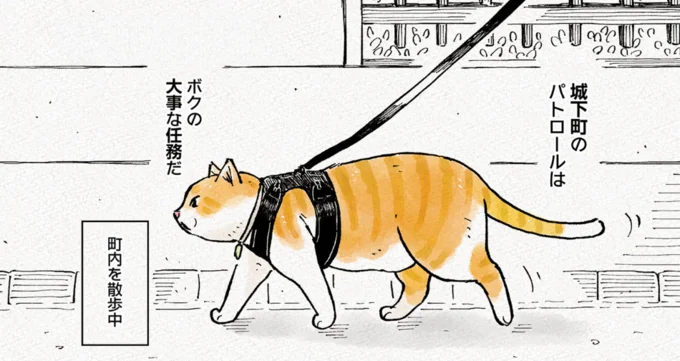 元野良猫のチャチャが町内を散歩。パトロールは「激務」?/元野良猫チャチャ 本日も見まわり中