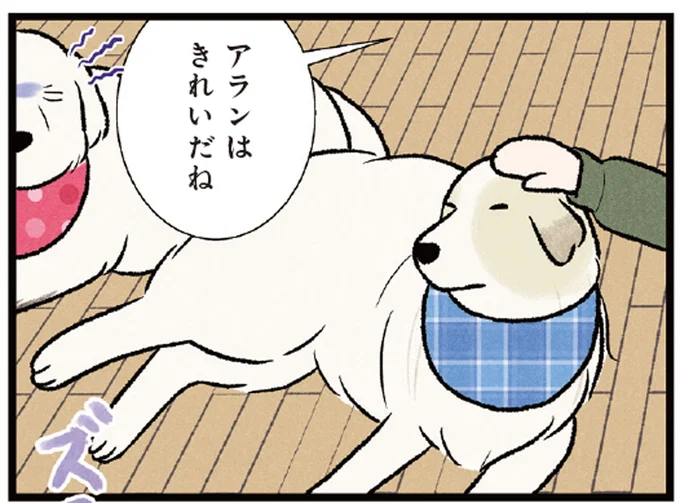 手足は真っ黒だけどほめて！ 穴掘りが趣味の大型犬。やきもちを焼く姿が微笑ましい／今日のルンルン