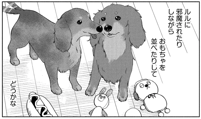 『アルへ』 05-08.webp