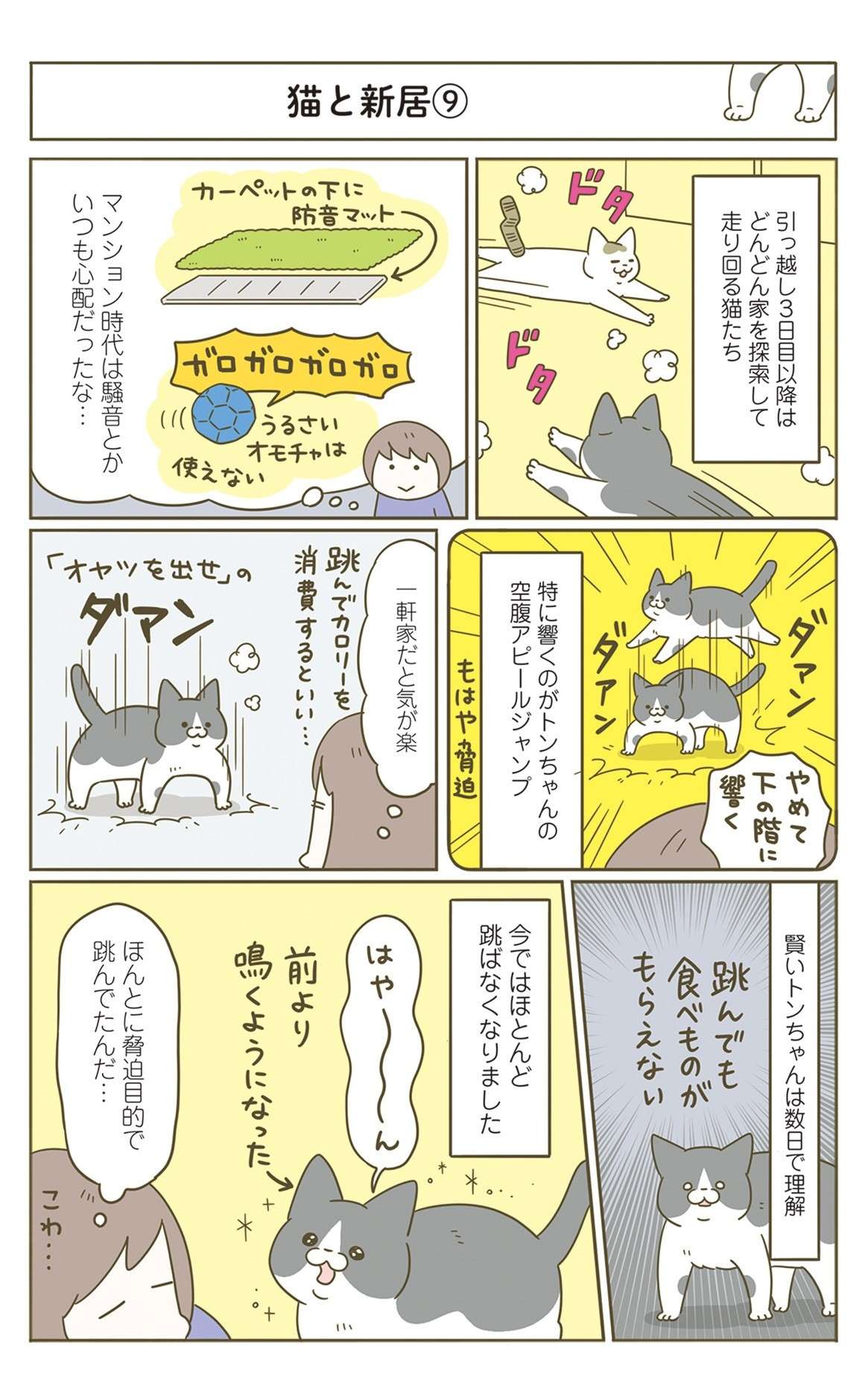 猫の「空腹アピール」はもはや脅迫。でも引っ越ししたら様子が変わって...／うちの猫がまた変なことしてる。7 12.jpg