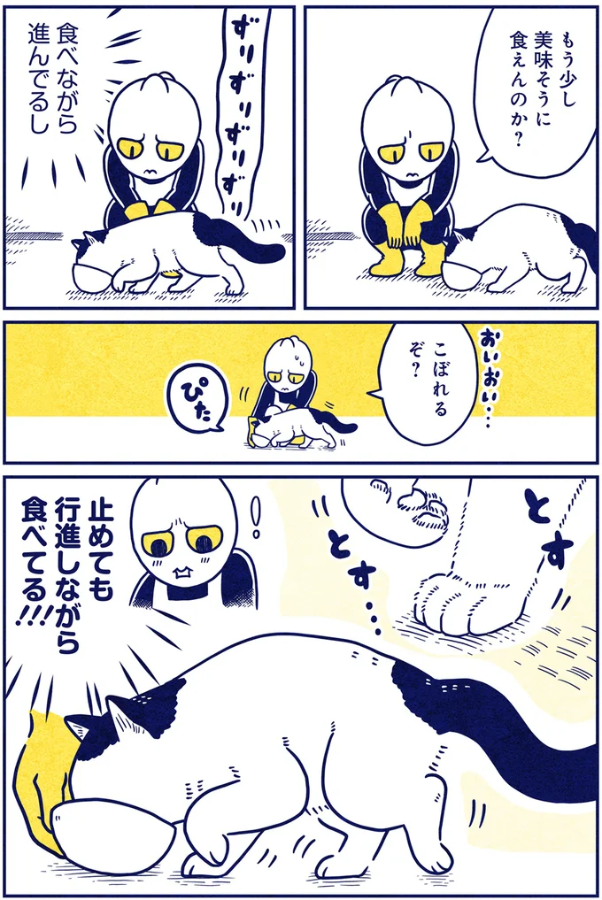 『宇宙人、猫と住む』 07-02.png
