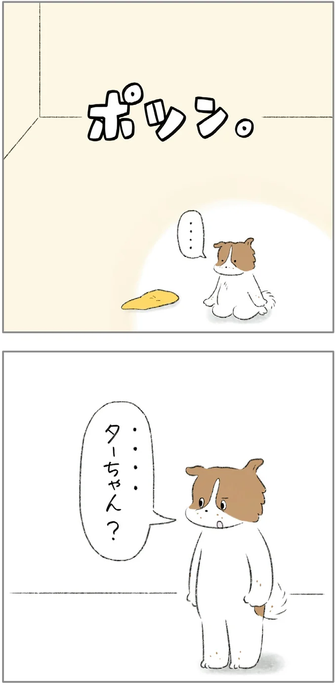 『ターとアグのしあわせ日和 元ノラ猫と元保護犬、ふたりは親友』 05-06.png