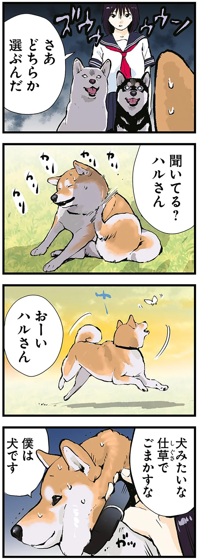 面倒くせぇ...柴犬の「聖地巡礼」。忠犬なら一度は憧れるシチュエーションとは／世界の終わりに柴犬と 5.png