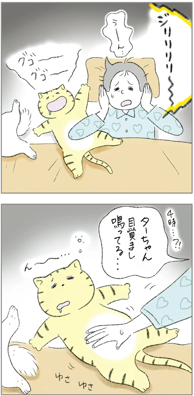 『ターとアグのしあわせ日和 元ノラ猫と元保護犬、ふたりは親友』 07-07.png