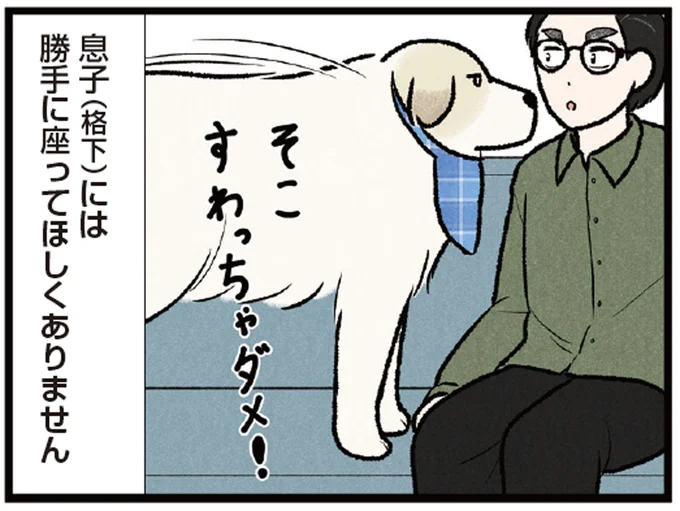 ソファは僕の場所！ 大型犬に格下認定された息子は座れるのか⁉／今日のルンルン