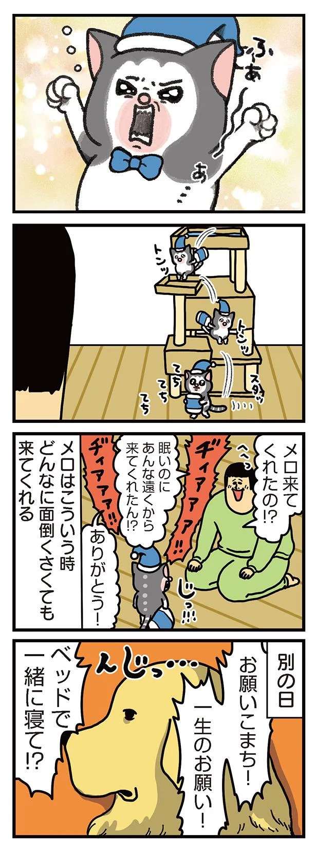 ああ、優しい。犬猫をもふりたい飼い主の欲求に...／まめきちまめこニートの日常 3 mameko23_2.jpeg