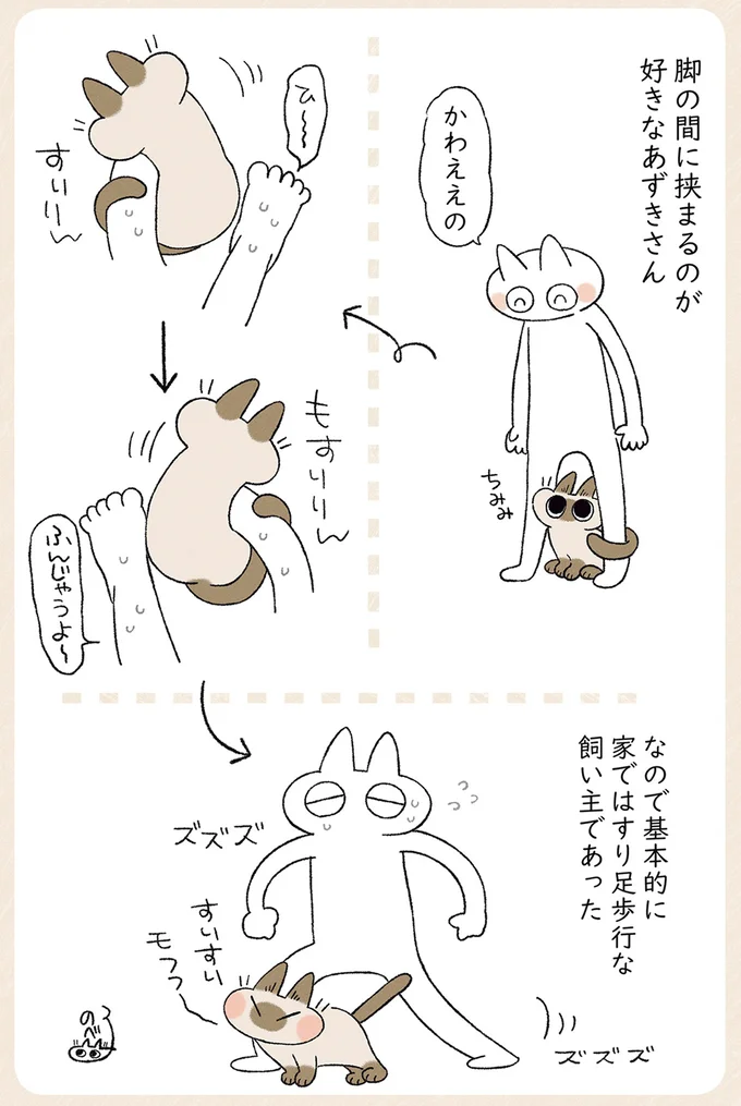 『シャム猫あずきさんは世界の中心』1〜2 17-02.png