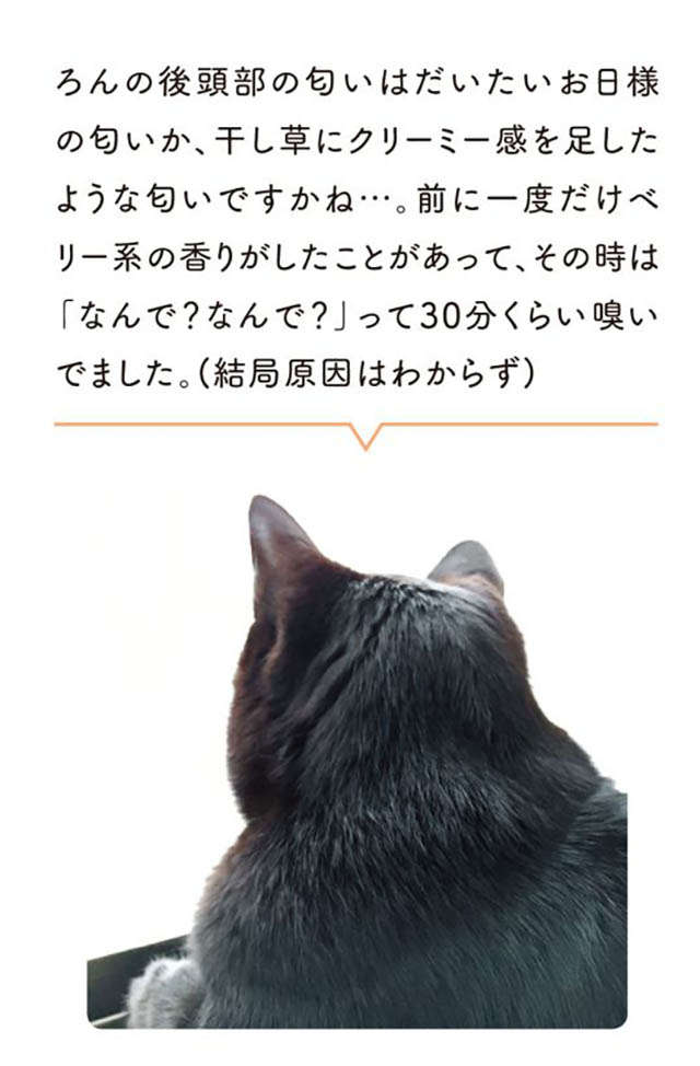 「猫の後頭部の匂い」がたまらない。でもとうとう怒られて...／黒猫ろんと暮らしたら1 12.jpg