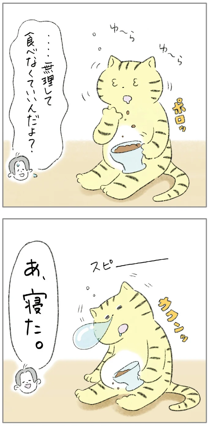 『ターとアグのしあわせ日和 元ノラ猫と元保護犬、ふたりは親友』 07-10.png