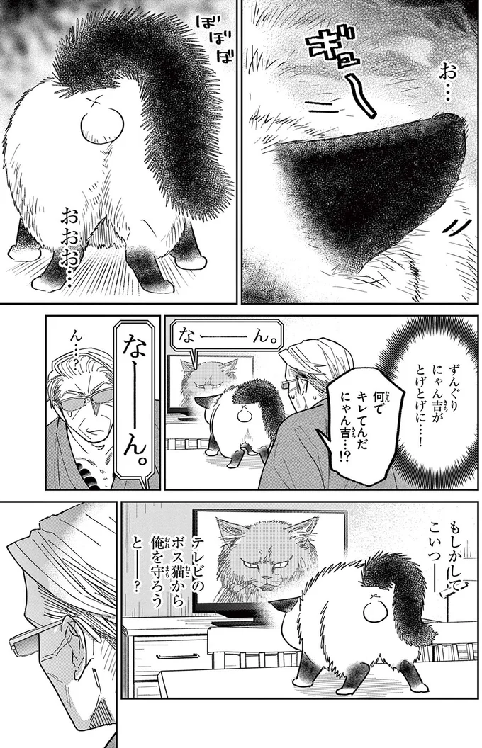 「なんて覇気だ！」いつもはのんびり屋な野良猫。テレビに映る「ボス猫」を見て豹変／オヤジとにゃん吉 16212764.webp
