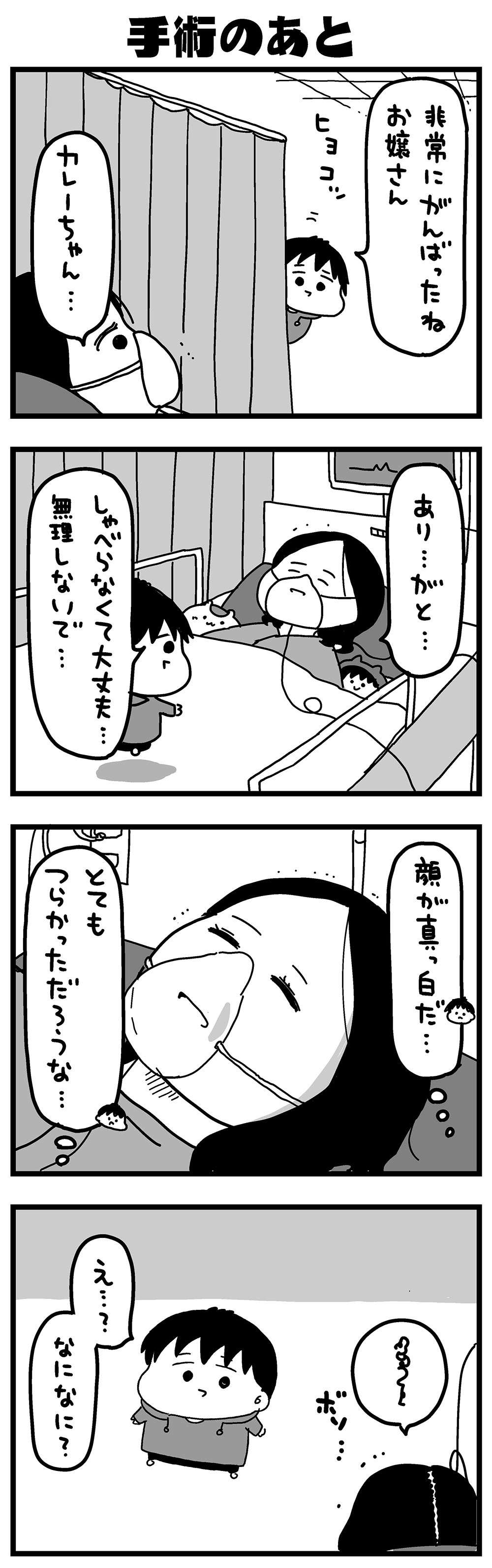 『大好きな妻が難病になった話～ふうふの日記マンガ～』／カレーとネコ 50_1.jpg