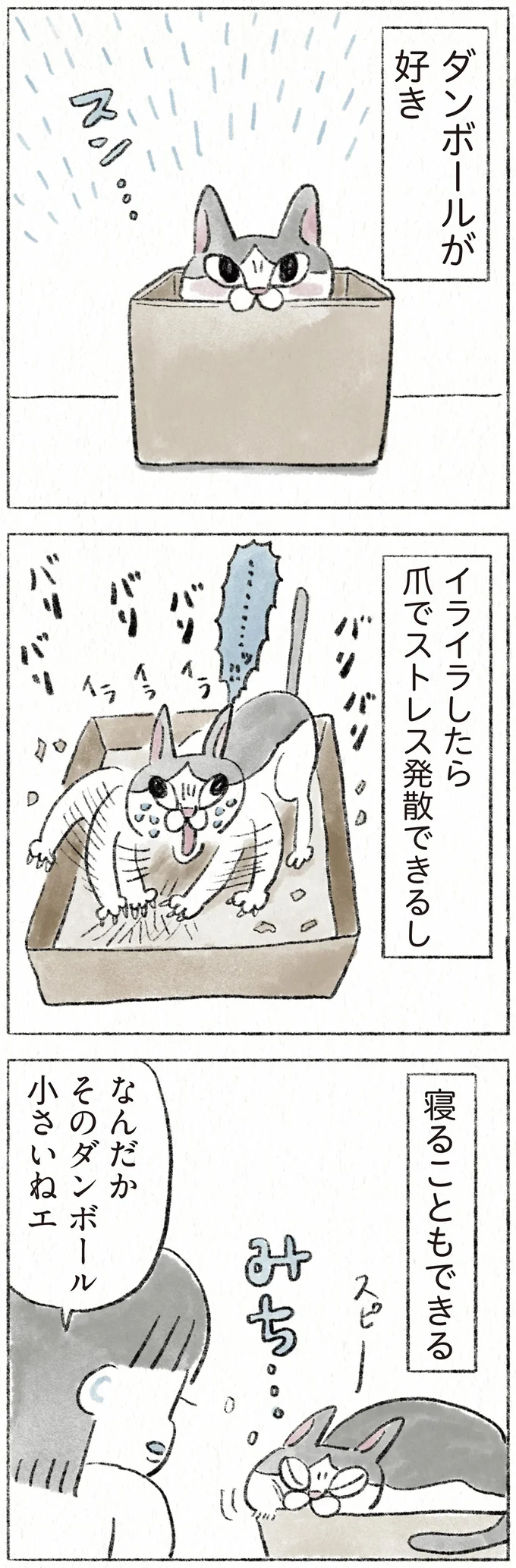 『うちの猫は今日も塩対応』 31.webp