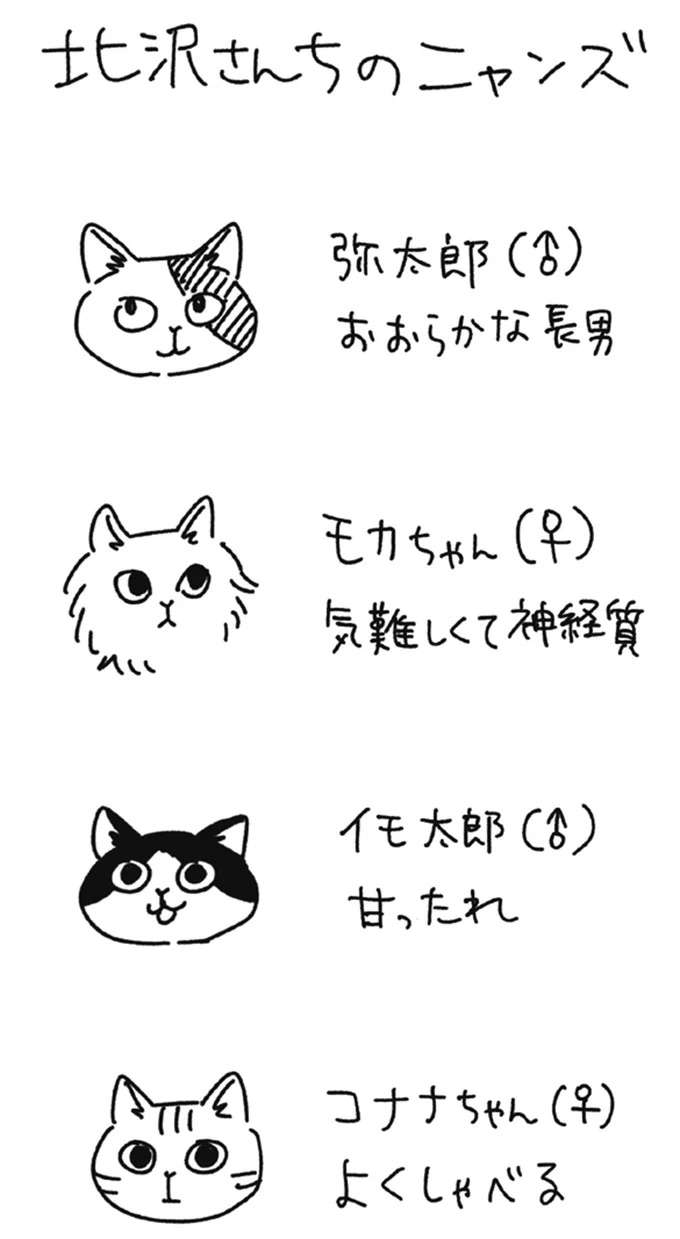 「なんで猫飼わないんですか？」何度も感謝される、過去の発言／20時過ぎの報告会 4 houkoku4_4.jpeg