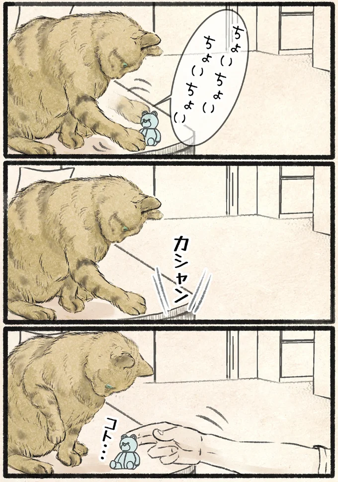 『今日もネコ様の圧が強い』 05-01.png
