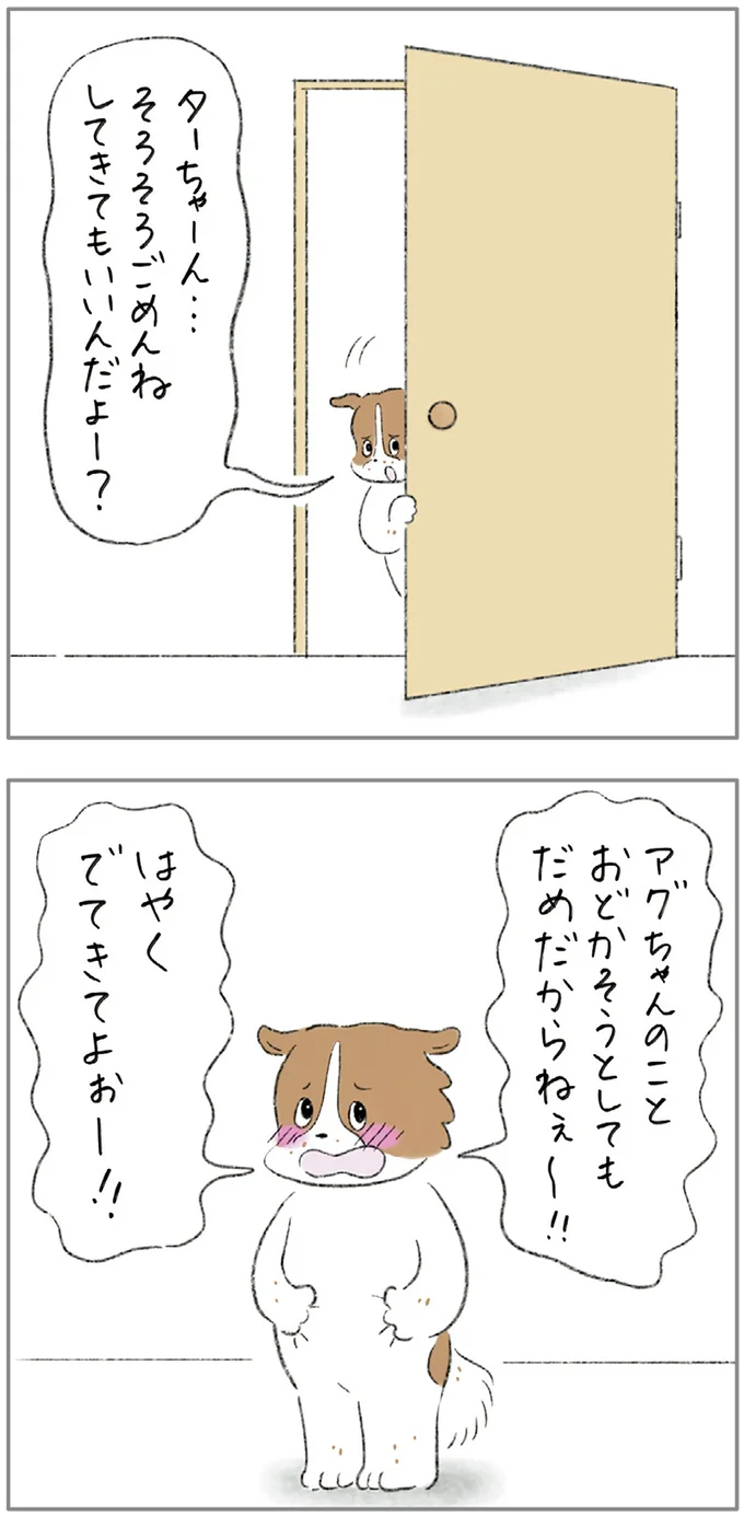 『ターとアグのしあわせ日和 元ノラ猫と元保護犬、ふたりは親友』 05-09.png