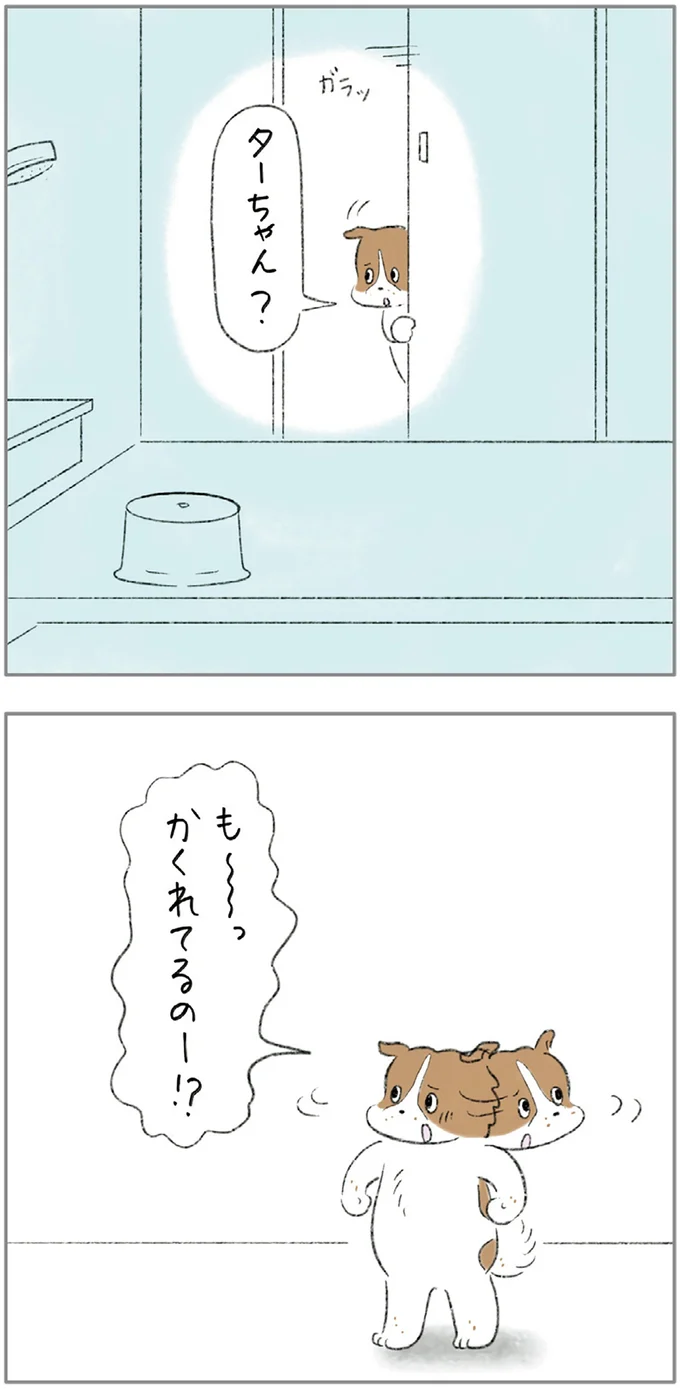 『ターとアグのしあわせ日和 元ノラ猫と元保護犬、ふたりは親友』 05-08.png