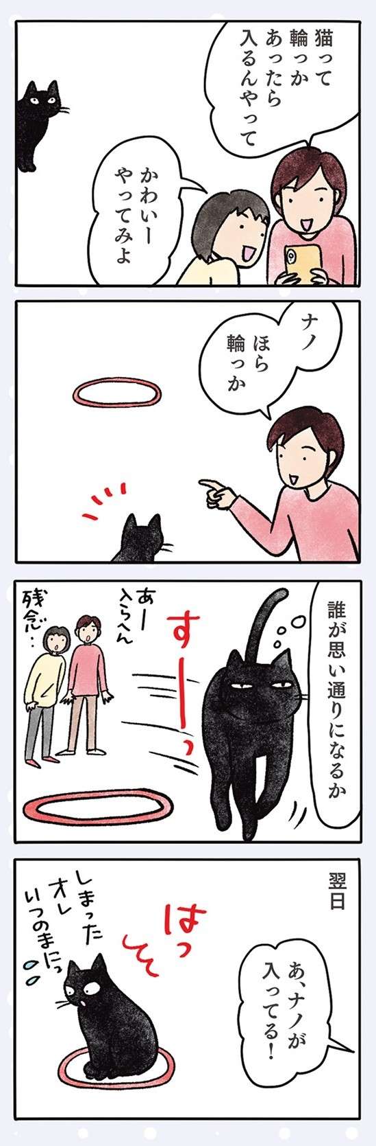 「ええの怒って」驚く猫。吸われてもモフられても我慢するのが定め!?／黒猫ナノとキジシロ猫きなこ kuroneko_nano10-5.jpg