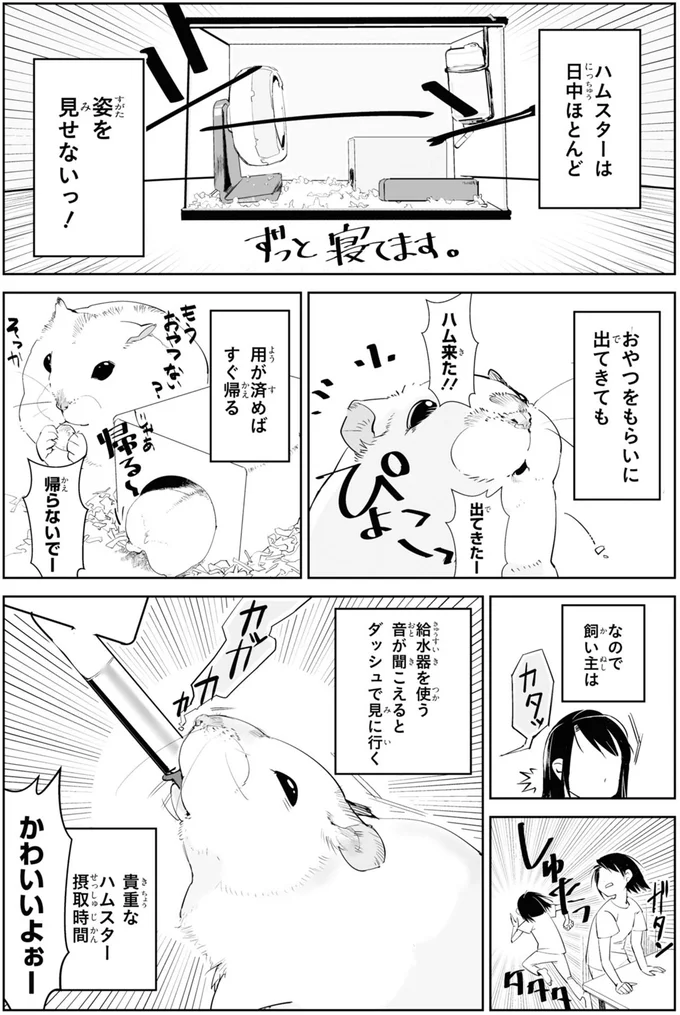 呼んでも来ないなら「ガサッガサッ」ハムスターが聞き流せない魅惑の音/はむはむづくし1 13-01.png