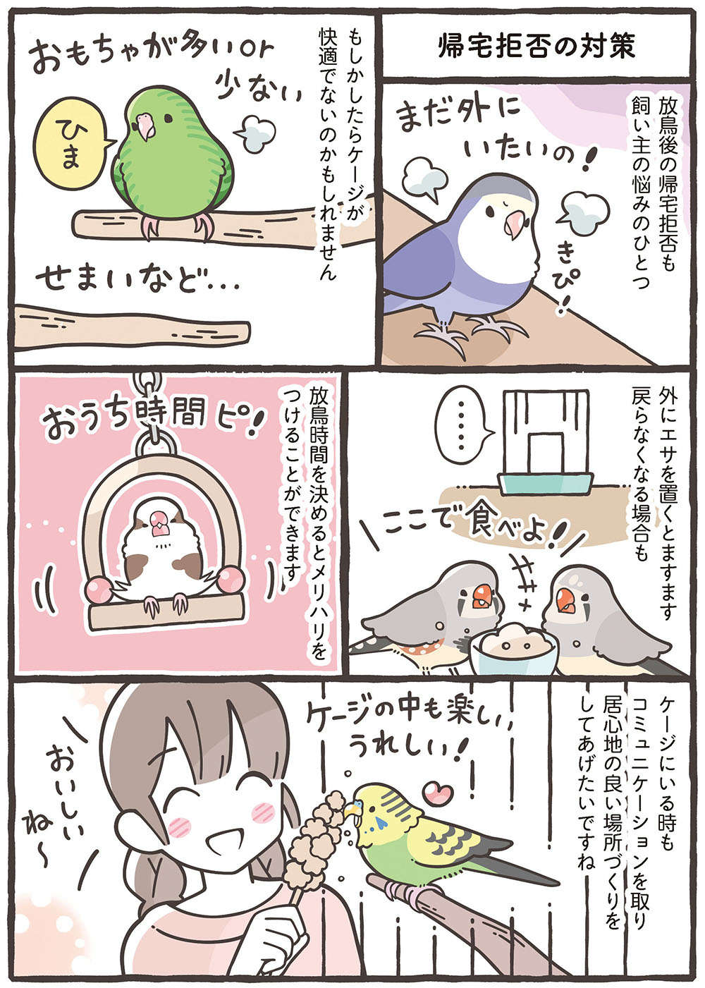 激しい呼び鳴き、大切な書類をかじられちゃった...鳥さんの「困った行動」への対処法／トリ扱い説明書 繝医Μ謇ｱ縺・ｪｬ譏取嶌_繝槭Φ繧ｫ繧咏判蜒・繝医Μ謇ｱ縺・ｪｬ譏取嶌_051.jpg