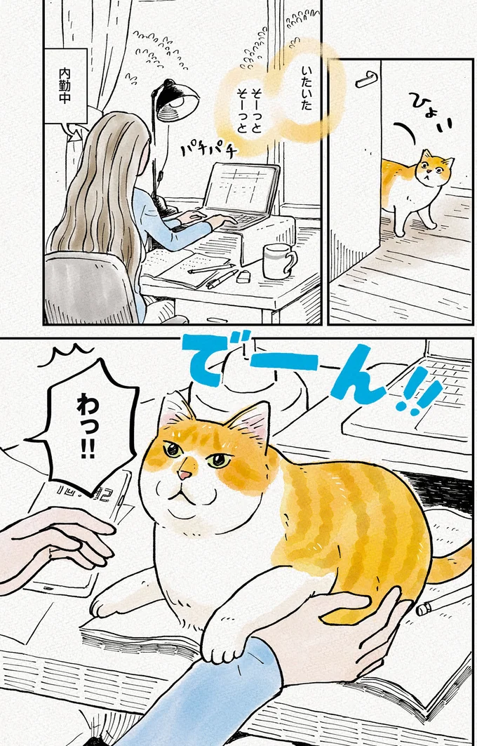 『元野良猫チャチャ 本日も見まわり中』 07-04.png