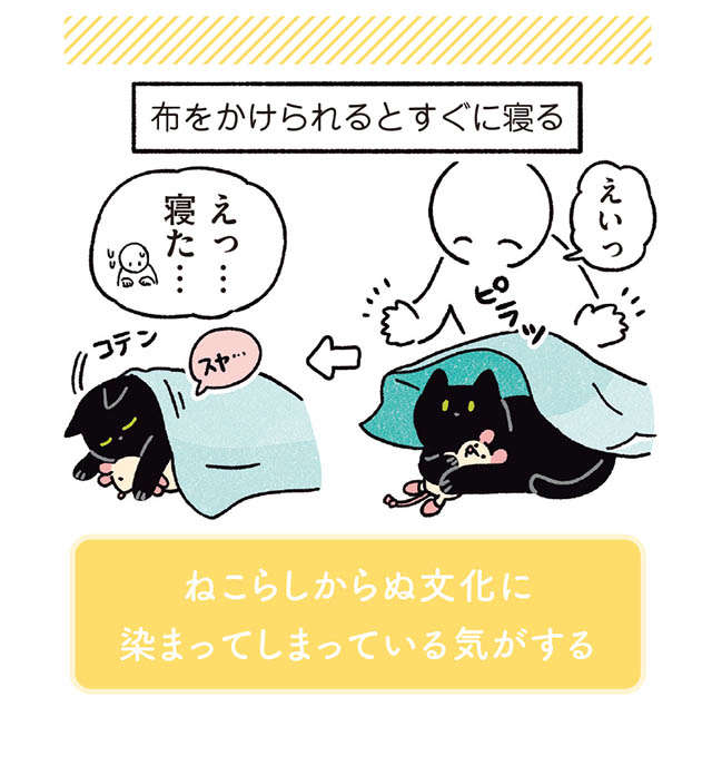 「家猫の初心者だったせい？」人間ぽい文化に染まってしまったうちの猫／黒猫ろんと暮らしたら3 11.jpg