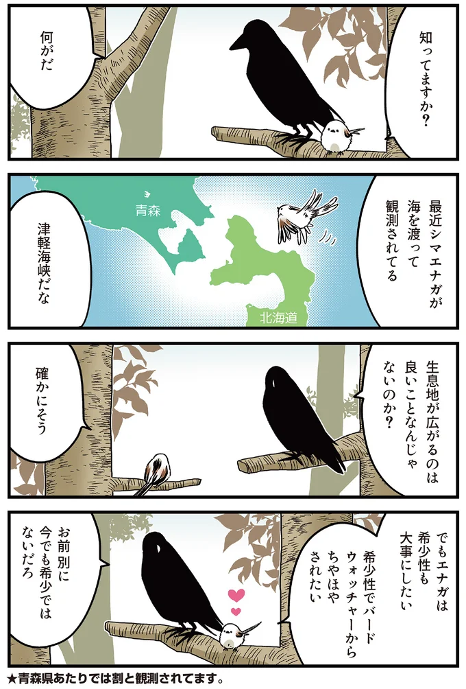 『永久機関シマエナガ‐シマエナガとカラスさん‐よんはいめっ！』 44.png