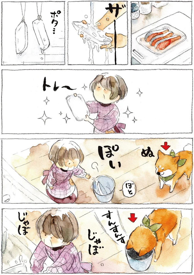 アレを収集したい柴犬。没収したらこんな「被害者の顔」に／柴犬ぽんちゃん、今日もわが道を行く２ 07-01.png