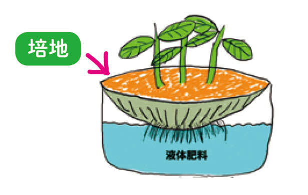 食費節約にも効果的！ 野菜を自宅で作るなら「水耕栽培」がおすすめの理由 ekitai1.jpg