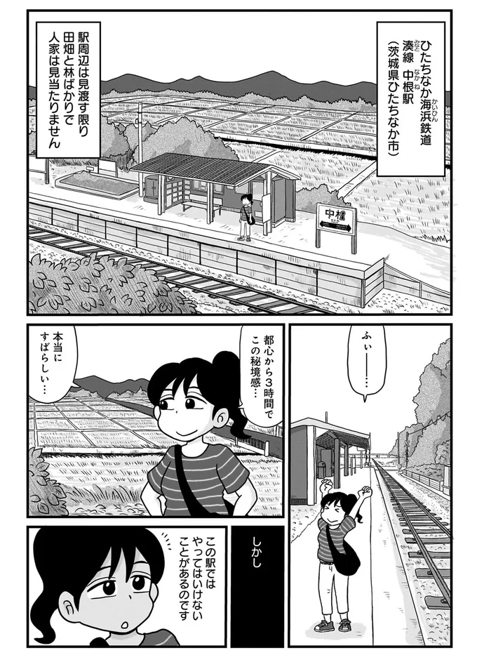 都心から約3時間で行ける秘境駅！ と思っていたらこれは...ホントに秘境駅!?／駅はあるうちに行け 15844565.webp