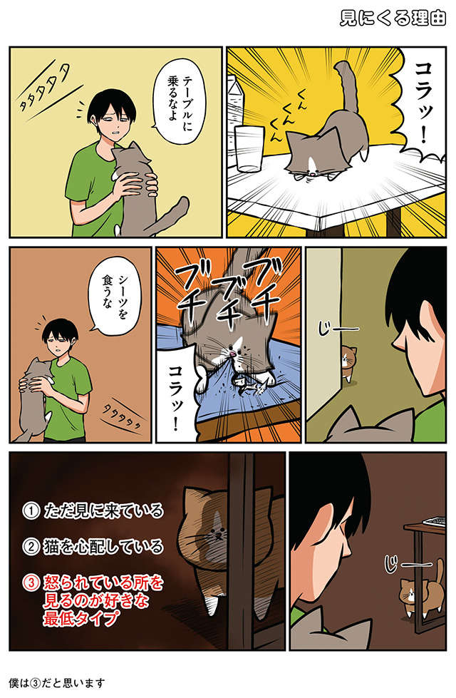 先住猫の目がキラキラ...子猫を叱っていると見に来る理由は？／鴻池剛と猫のぽんた ニャアアアン! 3 12.jpg