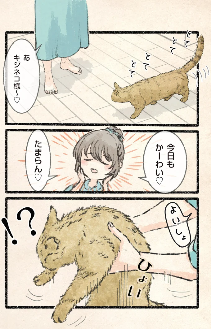 『今日もネコ様の圧が強い2』 52.webp