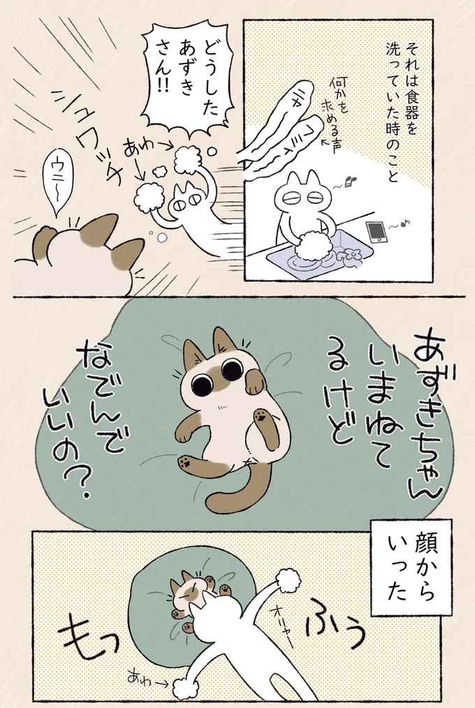 『シャム猫あずきさんは世界の中心』1〜2 10-02.png