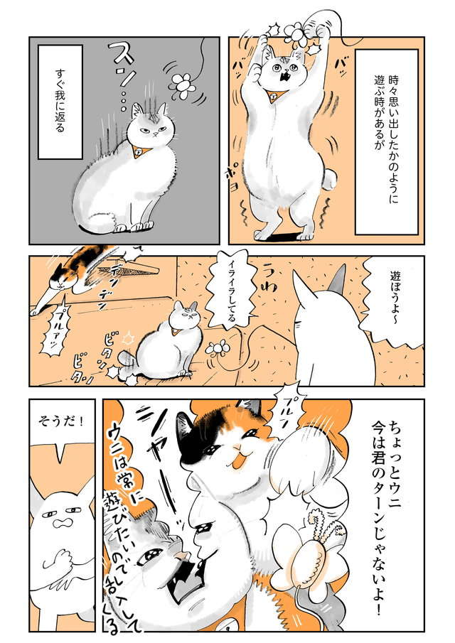ぽっちゃり猫をダイエットさせたい！ ちゅーるで釣って走らせようとした結果 ／うちの猫は仲が悪い uchinoneko7-004.jpg