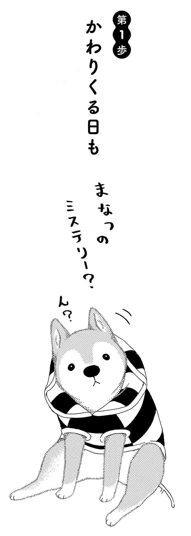 おじいちゃん柴犬との日々。帰った時の愛犬のリアクションが...かわいいけど変？／じじ柴ハチさん 3.jpg