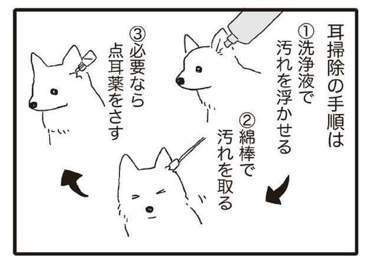 動物病院で「犬の耳掃除」。最後の最後に「大事なこと」とは／いぬねこ動物病院日記