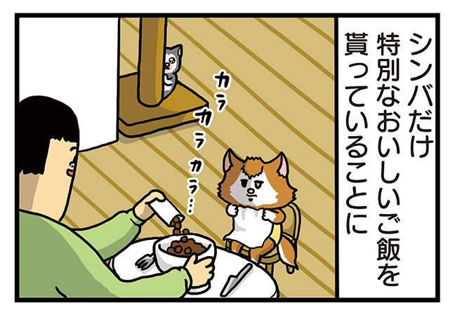 「鬼のしつこさ」子猫は先住猫の「特別なご飯」に気付いて／まめきちまめこニートの日常 こまちとタビ 3 1.jpg