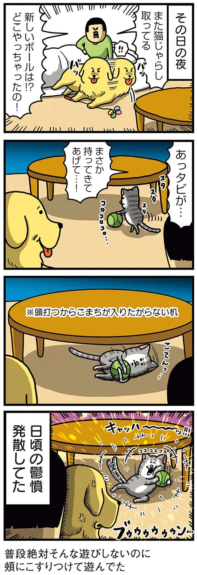 犬と猫の「煽りあい」。両方とも悪いな...！／まめきちまめこニートの日常 こまちとタビ5 mame10_2.jpeg