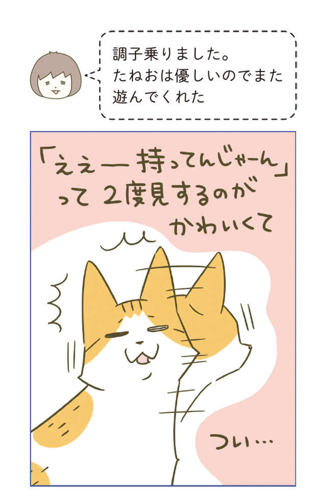 「もういいから」不信感まるだしの顔をする猫。調子乗ってごめん...／うちの猫がまた変なことしてる。6 12.jpg