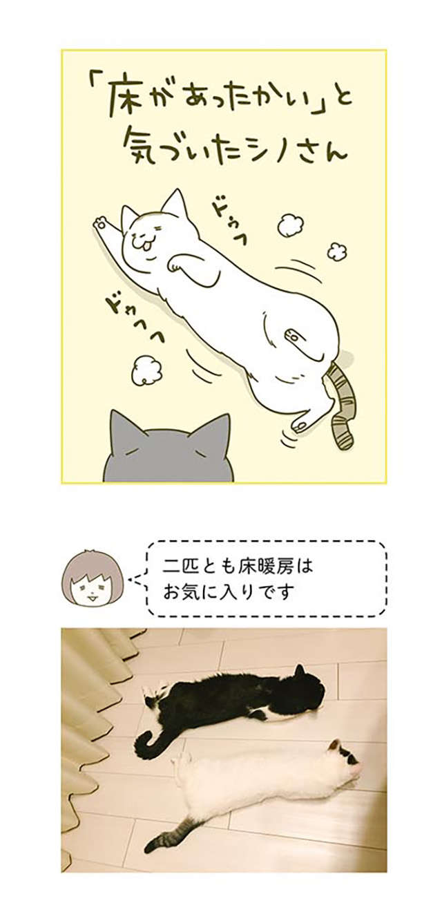 「さむい...」丸まる猫。床暖房に気づくとこんな姿に／うちの猫がまた変なことしてる。2 12.jpg