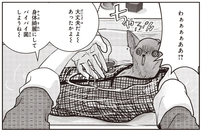 洗ってみたら傷だらけ...子猫の壮絶な日々に言葉を失った日/スローステップ朔太郎 上