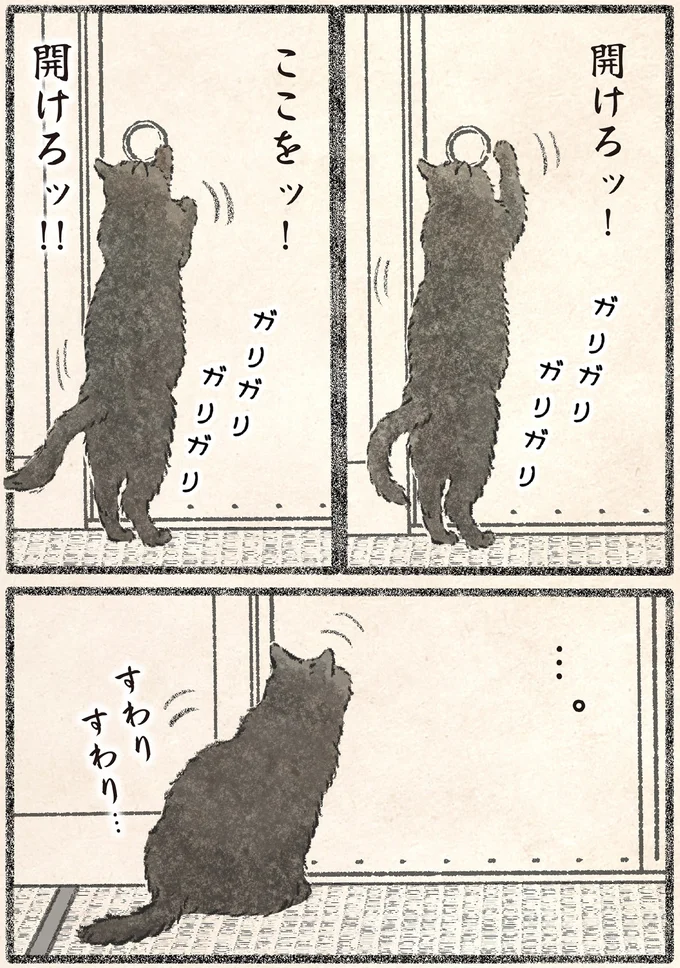 『今日もネコ様の圧が強い2』 41.webp