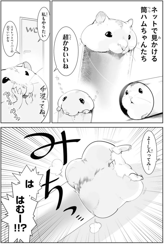 おやつ大好き、運動ガン無視。ぷっくりまるまる育った我が家のハムスター/はむはむづくし1 10-01.png